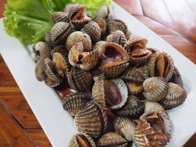 ดิเมาท์เทน คาร์เฟ่&เรสเตอรองท์