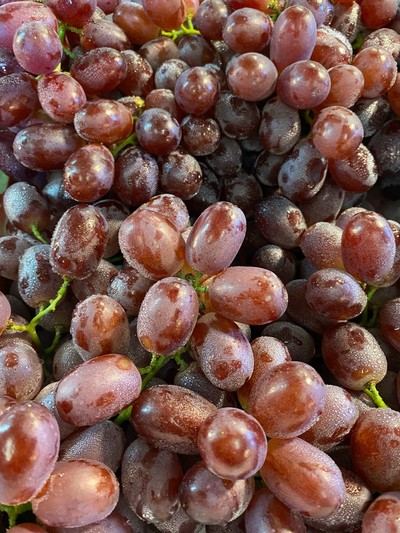 องุ่นแดงคิมสันไร้เมล็ด