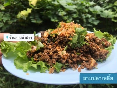 ลาบปลาเพลี้ย