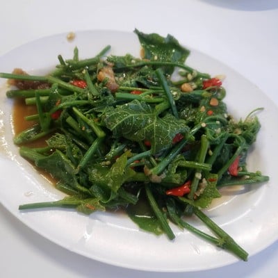 ผัดผักแม้วหมูกรอบ