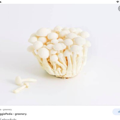 MENU_484354LG_1632632025