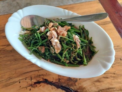 ผักกูดน้ำมันหอย