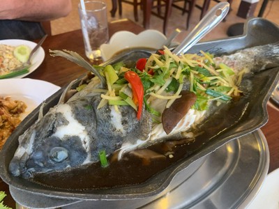 ปลาเก๋านึ่งซิอิ้ว