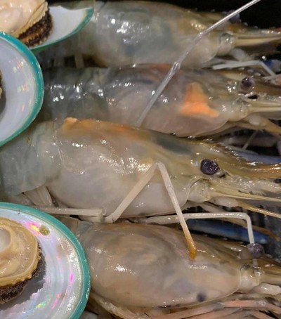 กุ้งสด