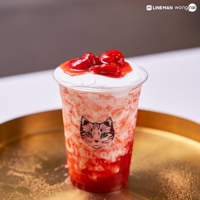 FIRE CAT - แมวพ่นไฟ โลตัส ปทุมธานี