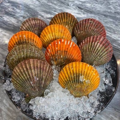 MENU_440193Ks_1633682039