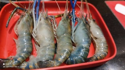 กุ้งแม่น้ำ