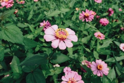 Unseen Thailand เดินป่า กางเต็นท์ แคมป์ปิ้งที่ ภูซับเหล็ก จ.ลพบุรี