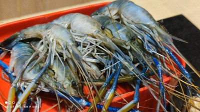 กุ้งแม่น้ำ