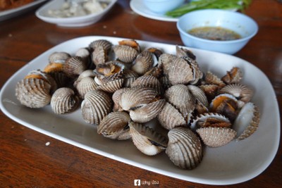 หอยแคลงลวก