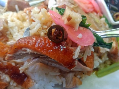 ข้าวหน้าเป็ด+ หมูกรอบ