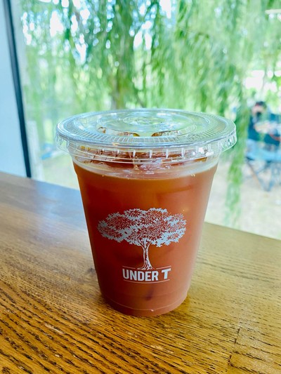 Iced Americano Single