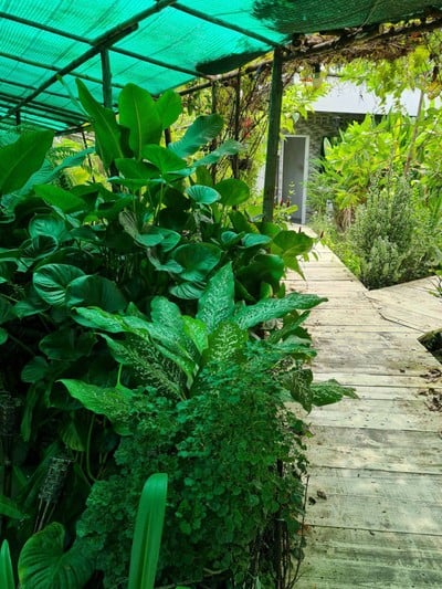 บรรยากาศ