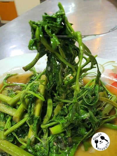 ผัดผักกระเฉดน้ำมันหอย
