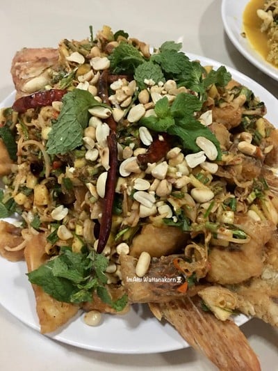 “ปลาทับทิมลุยสวน” “ปลาทับทิมลุยสวน”