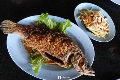 ปลากระพงทอดน้ำปลา