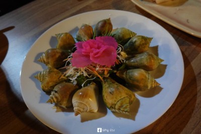 หอยชักตีน