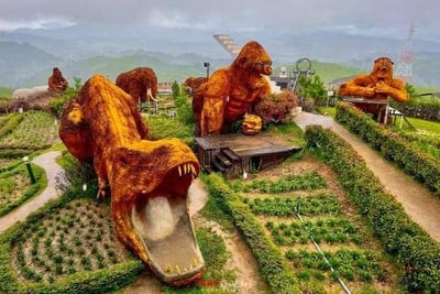 คิงคอง เขาค้อ