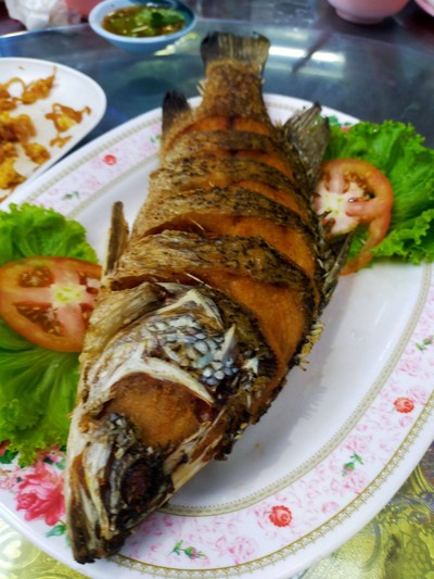 ปลากระพงทอด