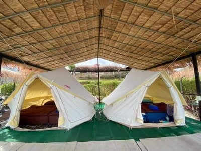 คิงคอง เขาค้อ