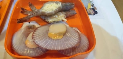 กุ้งชีส หอยเชลล์