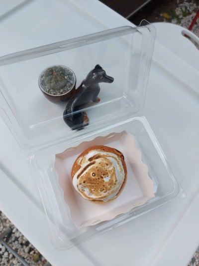 BOMBOLONI