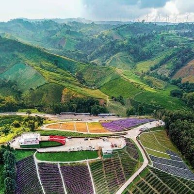 ทุ่งไฮเดรนเยีย เขาค้อ