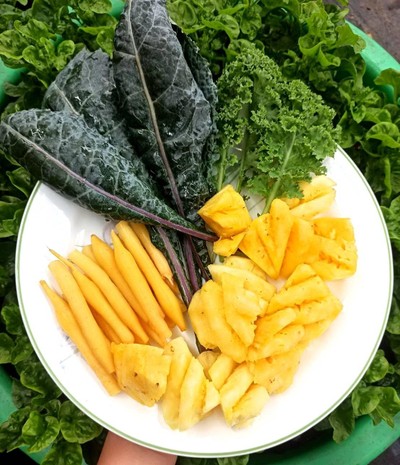 วิธีทำ น้ำเคลปั่นสับปะรดกระชาย สายสุขภาพ