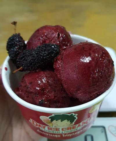 ม่อนเบอร์รี่ สด100%