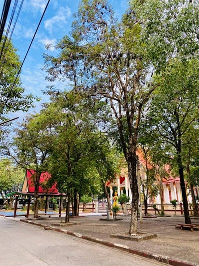 บรรยากาศ