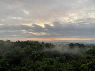 วิวนอกห้อง