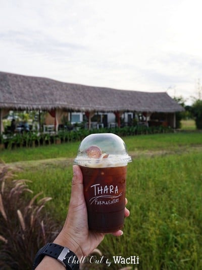 กาแฟมะตูม