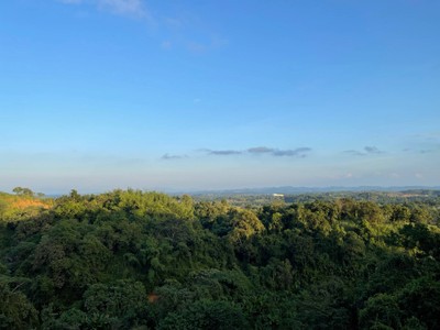 วิวนอกห้อง