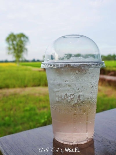 ลิ้นจี่โซดา