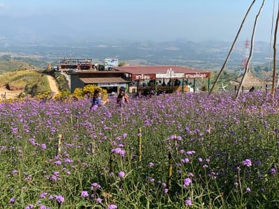 GB Farm