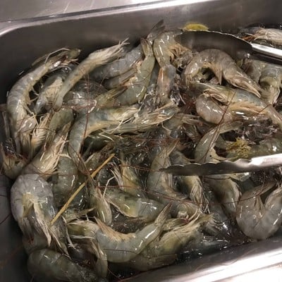 ย่างเนย ย่างเนย ภูเก็ต