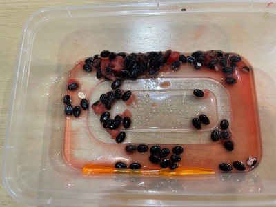 แตงโม (บรรจุกล่องM)