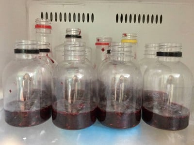 วิธีทำ “มิกซ์เบอรี่นมสด”