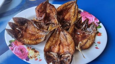 ปลาทูแดดเดียว