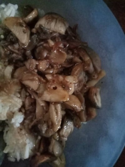 ผัดเห็ดน้ำมันหอย