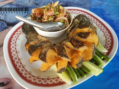 ปลาช่อนทอดยำ