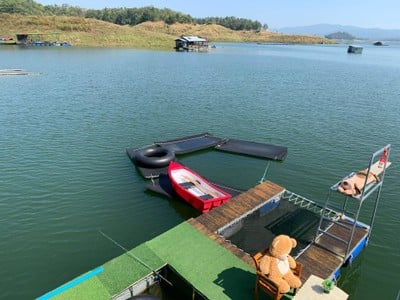 แพลุงเทียม