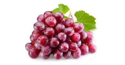 MENU_1239983tR_1638709490