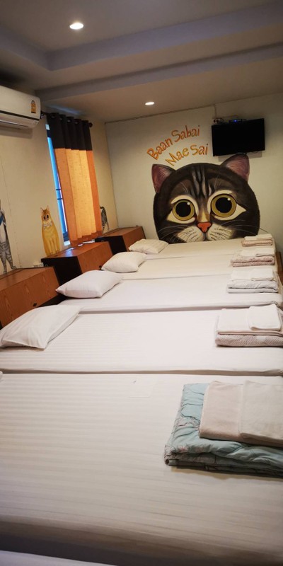 ห้องพัก