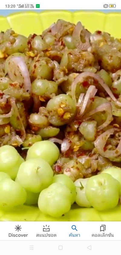 ยำมะยมดอง