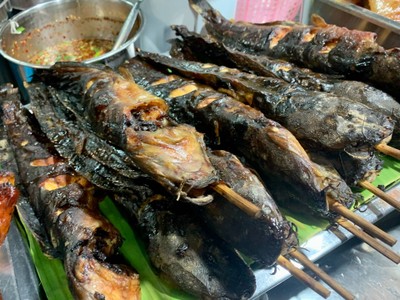 ปลาดุกย่าง