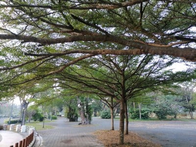 บรรยากาศ