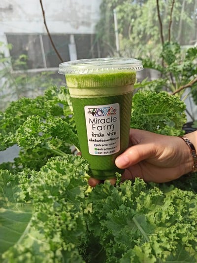 วิธีทำ น้ำเคลปั่นสดเนือ้สับปะรด วิธีทำ น้ำเคลปั่นสดเนือ้สับปะรด