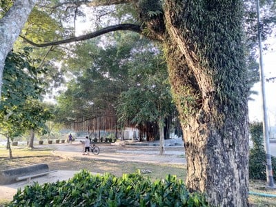 บรรยากาศ
