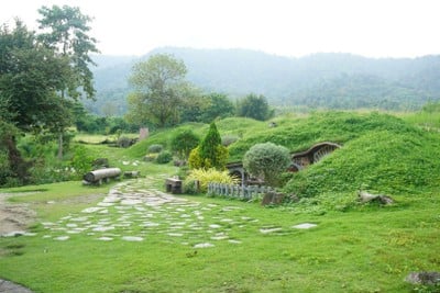 Alpaca Hill